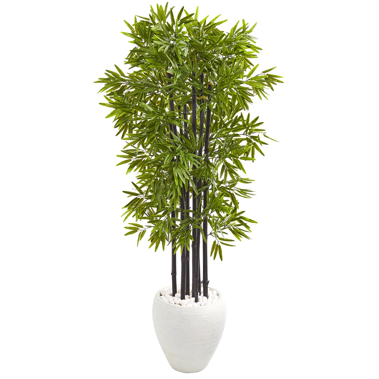 5ft. Bamboo Tree with Black Trunks in Decorative White Planter